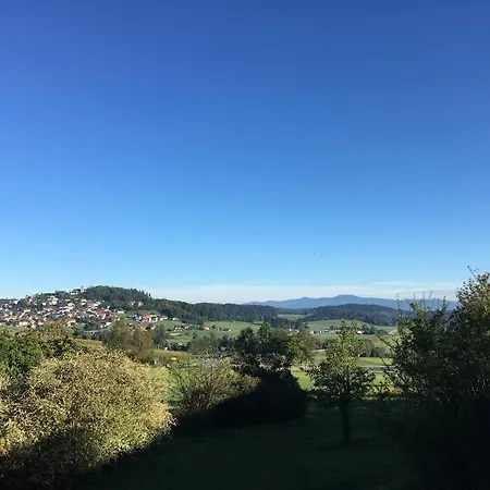 Kirchberg Im Wald -wohnung Mit Aussicht アパート *