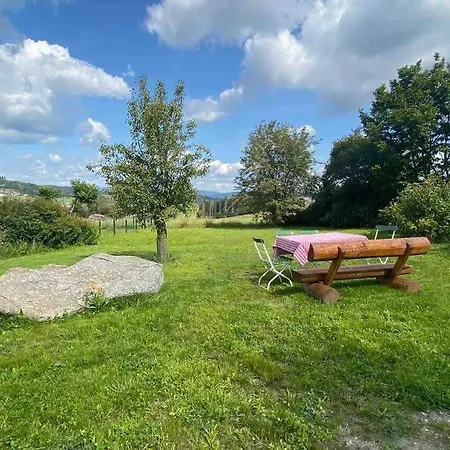 Kirchberg Im Wald -wohnung Mit Aussicht Kirchberg